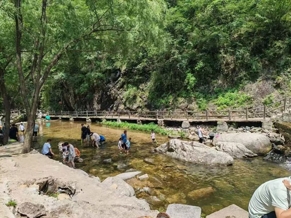 養(yǎng)子溝自然景色實(shí)拍